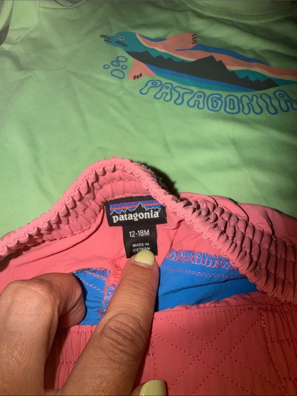 Patagonia Swimshirt with Pink & Blue Stripe Shorts